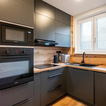 Luxury With Wifi And Netflix Ostrava-jih Ostrava