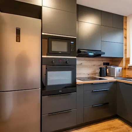 Daire Luxury With Wifi And Netflix Ostrava-jih *
