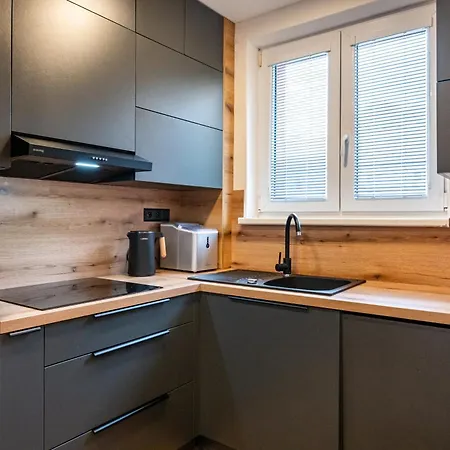 Daire Luxury With Wifi And Netflix Ostrava-jih *