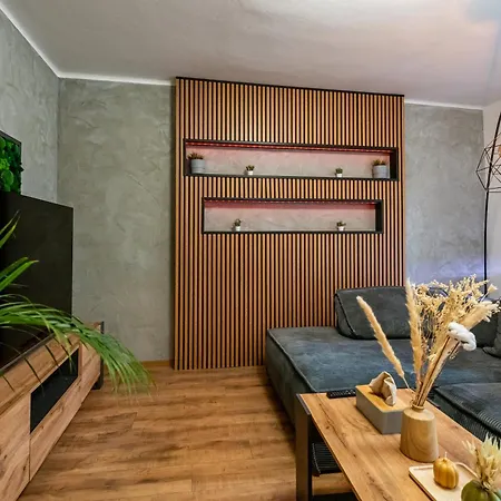 アパート Luxury With Wifi And Netflix Ostrava-jih *