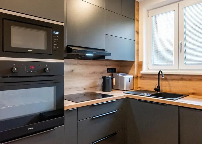 Luxury With Wifi And Netflix Ostrava-jih Ostrava