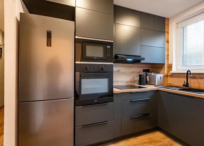 Apartment Luxury With Wifi And Netflix Ostrava-jih *