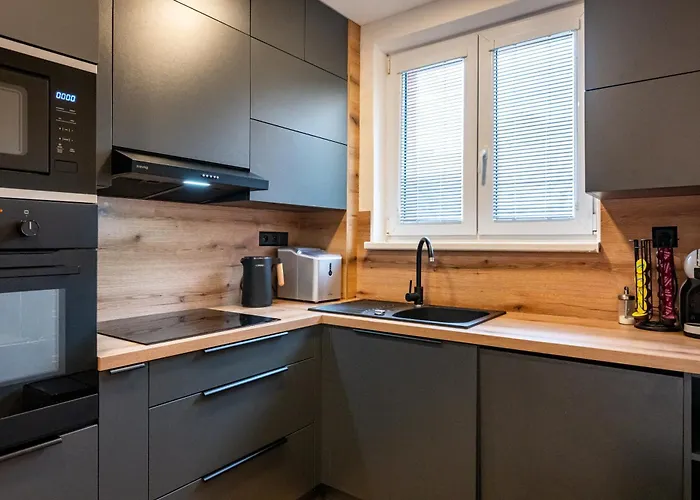 Apartment Luxury With Wifi And Netflix Ostrava-jih *